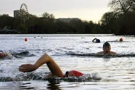 Image result for Serpentine Swimming Club