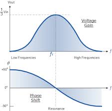 Image result for wien.oscillator.amp.scheme