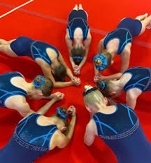 Image result for Swallows Trampoline Club