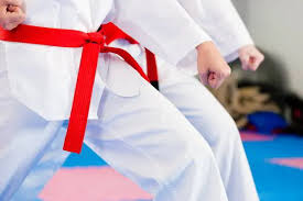 Image result for United Sport Karate