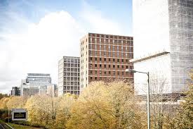 Image result for Basingstoke