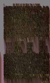 Attēlu rezultāti vaicājumam “Diderma montanum var. album young”