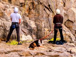 Image result for Meadhurst Mountaineering Club