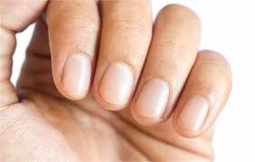 Image result for lunula nail