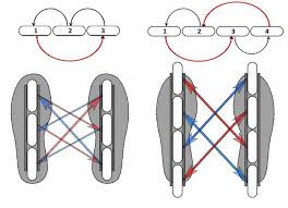 Image result for inline skate wheel rotation