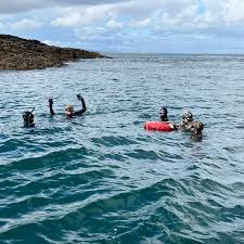 Image result for Apneists UK