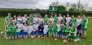 Image result for Parnells Gaelic Football Club