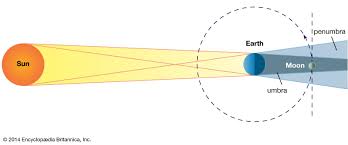 Attēlu rezultāti vaicājumam “Panolis umbra”