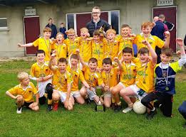 Image result for Drumgath Gaelic Football Club