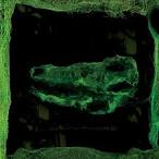Image Avey Tare “Down There” Picture