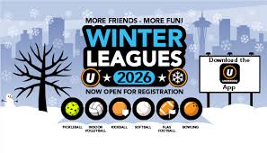 Image result for Runnymede Bowls League