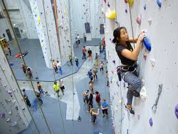 Image result for High Sports Climbing Wall