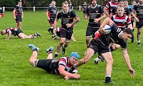 Image result for Crewe & Nantwich Rugby Union Football Club