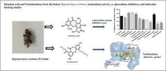 Attēlu rezultāti vaicājumam “Hypotrachyna sp.”