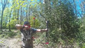 Image result for Cloth Of Gold Field Archery Club