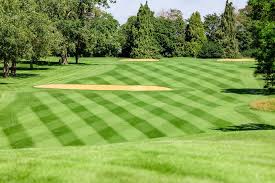 Image result for Letchworth Golf Club