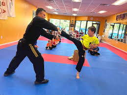 Image result for Ashford School Of Taekwondo