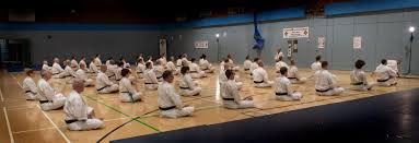 Image result for Southampton University Shorinji Kempo Club