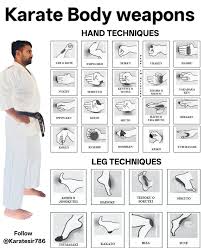 Image result for Inyo Karate Do Ninbukan