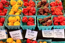 Afbeeldingsresultaat voor 7 pot hot pepper