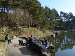 Image result for DRAYTON ANGLING CLUB