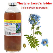 Attēlu rezultāti vaicājumam “Polemonium caeruleum fruit”