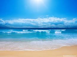 images?q=tbn:ANd9GcSWG_cwphh0gbl9d8Z2hrH8ccUkQiLP9gCI_uGtnthLVAndtNxz6w