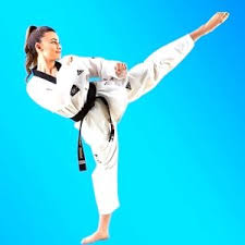 Image result for South Bank Taekwondo