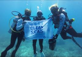 Image result for Southdown Divers