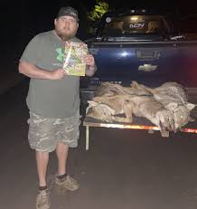 Image result for Hartlepool Coyotes