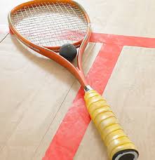 Image result for Limpsfield Badminton Club