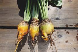 Image result for Mangold