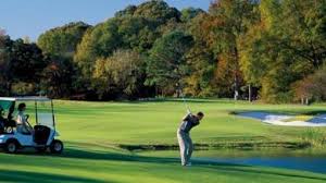 Image result for Garesfield Golf Club