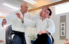 Image result for West Midlands Aikido Association Dojo