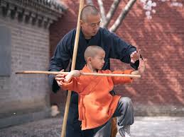 Image result for Shaolin Ancestors kung Fu School