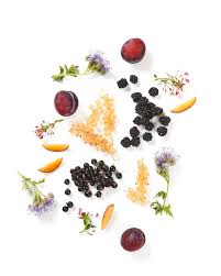 Attēlu rezultāti vaicājumam “Geranium palustre fruit”