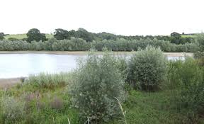 Image result for Sutton Bingham and District Canoe Club