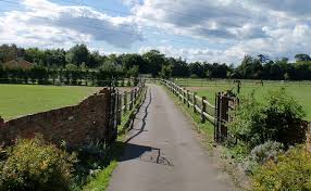 Image result for Shey Copse Riding Centre