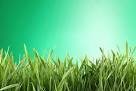 Background, Green Sky