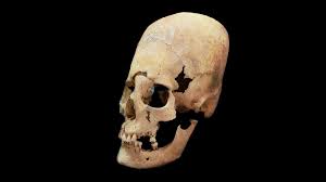 Image result for elongated skulls
