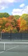 Image result for Sandford Tennis Club