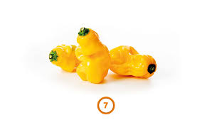 Afbeeldingsresultaat voor mme jeanette hot pepper