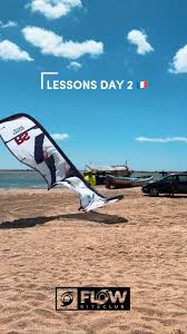Image result for Mobius Flix Trick & Freestyle Kite Club