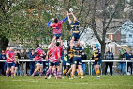 Image result for Rochford Hundred Rugby Club