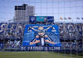 Image result for www.diariosur.es