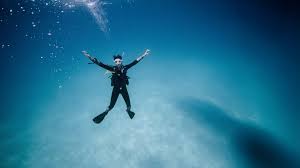 Image result for Blue Water Diving