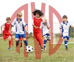 Image result for Redhill Girls Football Club