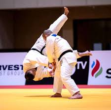 Image result for widnes judo