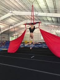 Image result for Acrobrats