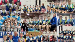 Image result for Brumby Gymnastics Club